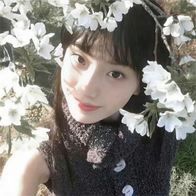 傻妹从军